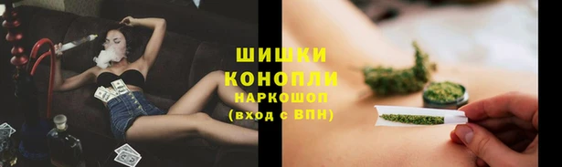 сатива Верхнеуральск