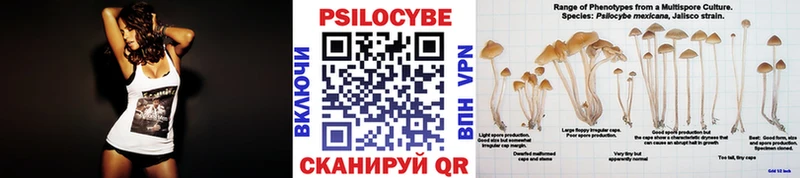 Галлюциногенные грибы Psilocybe Смоленск